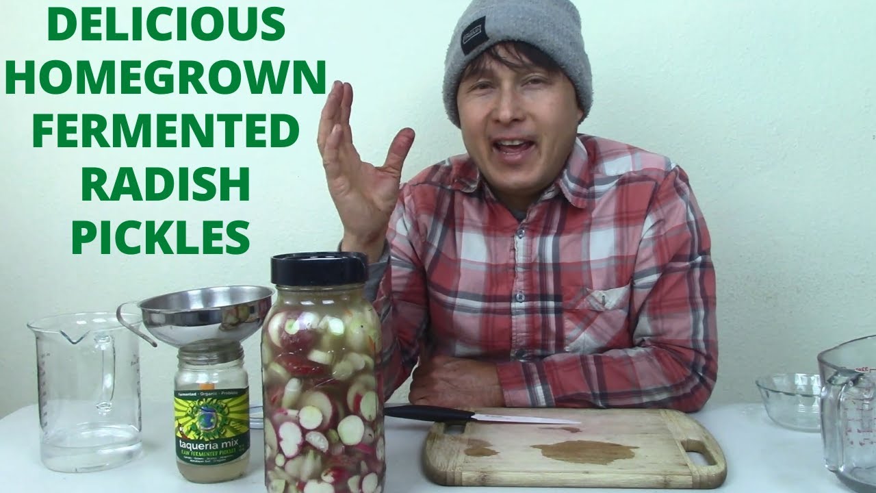 How to Make the Best Fermented Radishes without Mold Every Time