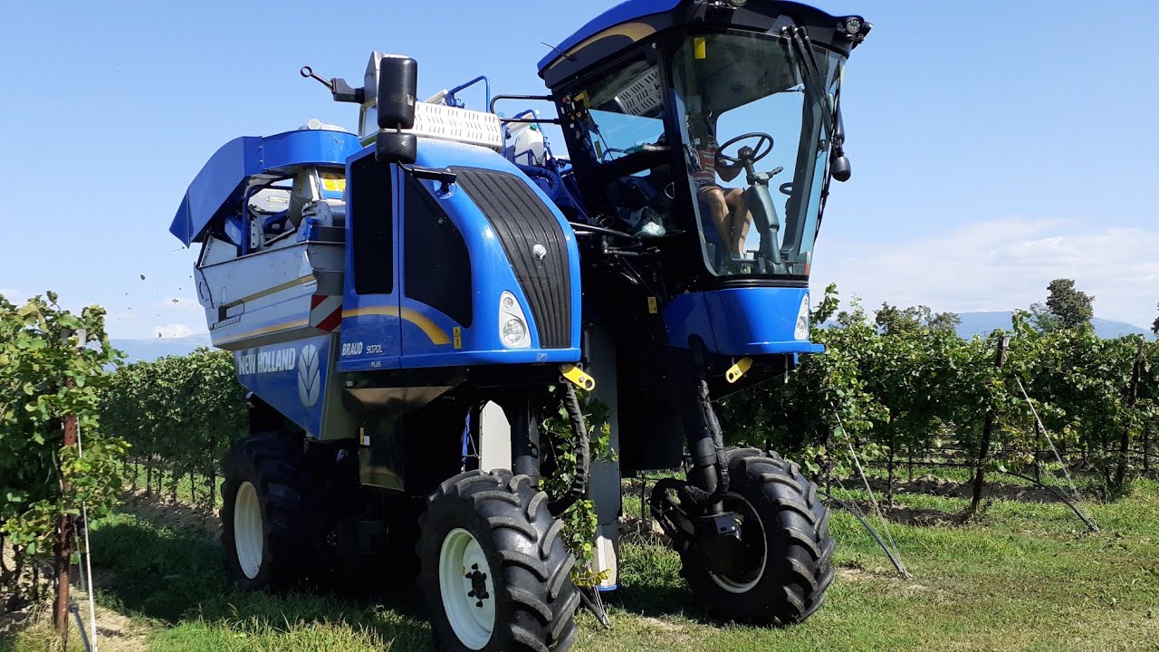 VENDEMMIA PINOT GRIGIO: NEW HOLLAND BRAUD 9070L - T5070 | CLAAS ARION 640 | ZACCARIA | D'EUSANIO