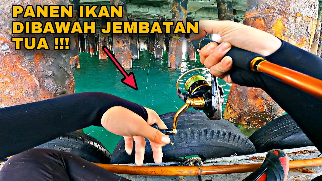 30 KG DALAM SEHARI ‼️ Surga Pemancing Dibawah Jembatan Tua !!!