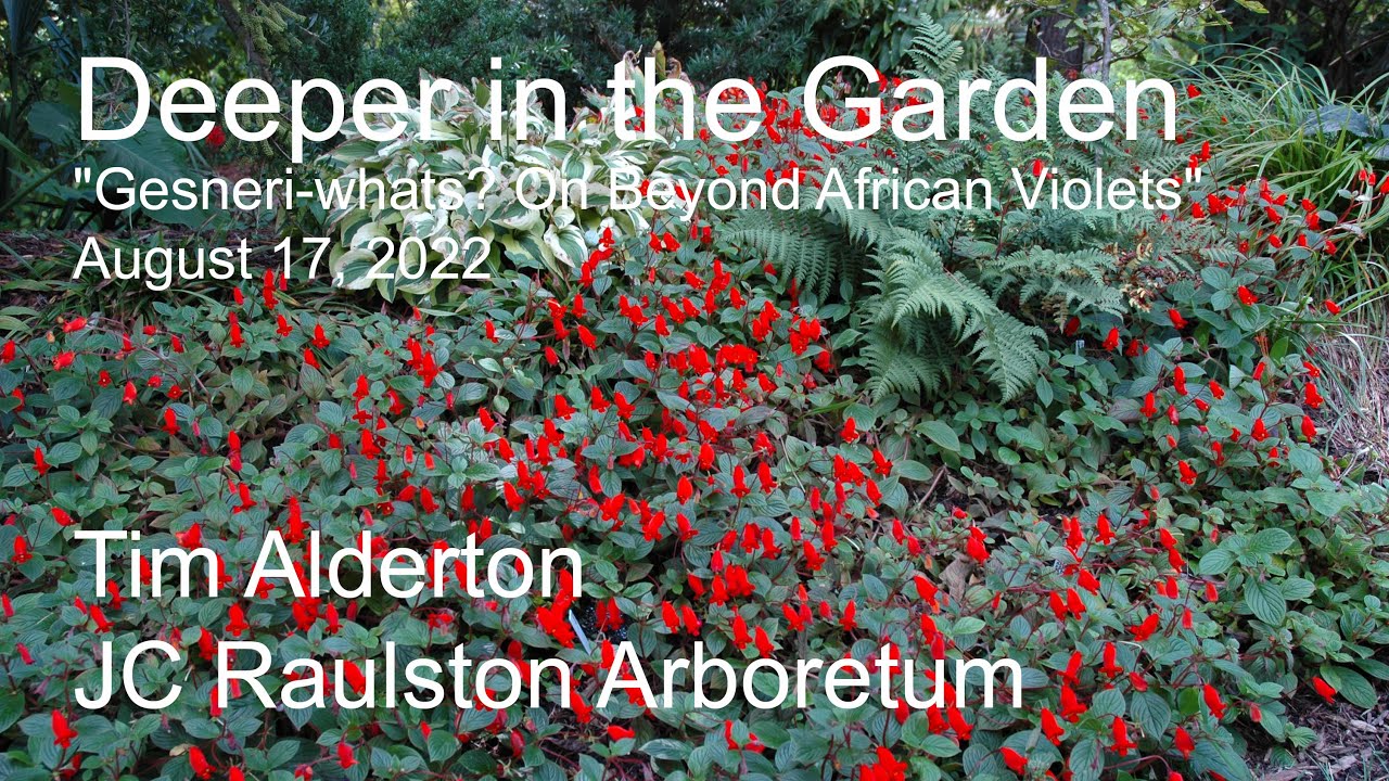 Deeper in the Garden - 