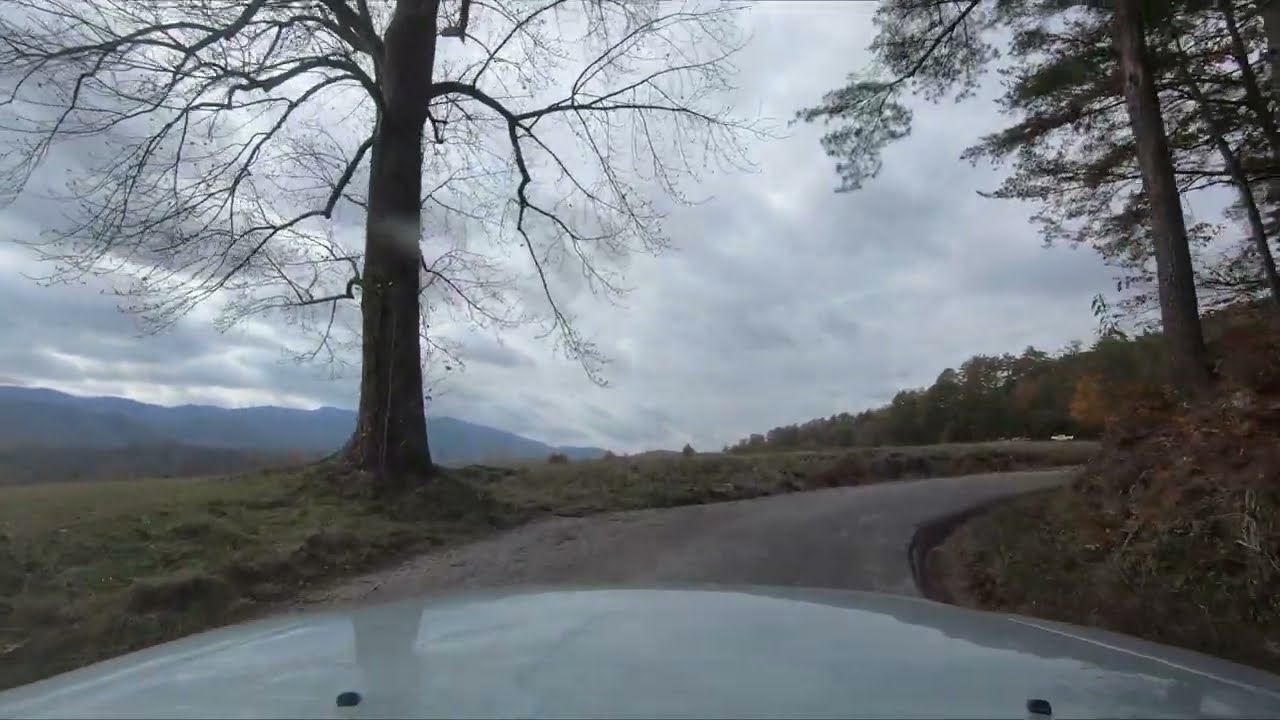 Smoky Mountains, Cades Cove Fall 2025