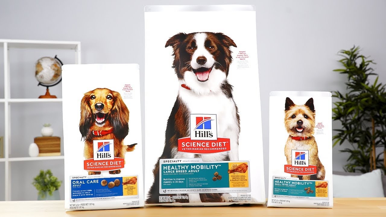 Hill's Science Diet Special Needs Dog Food | Chewy