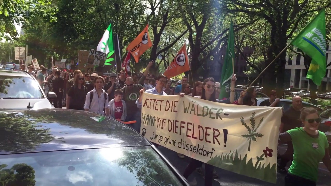 Global Marijuana March 2017 in D&uuml;sseldorf GMM 06.05.17