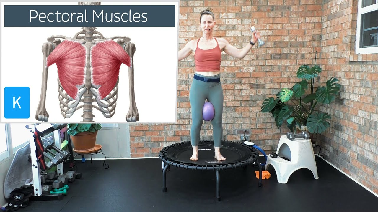 Rebounding Workout with Dumbbells | Beginner Strength & Cardio Routine | Full Body Mini Trampoline
