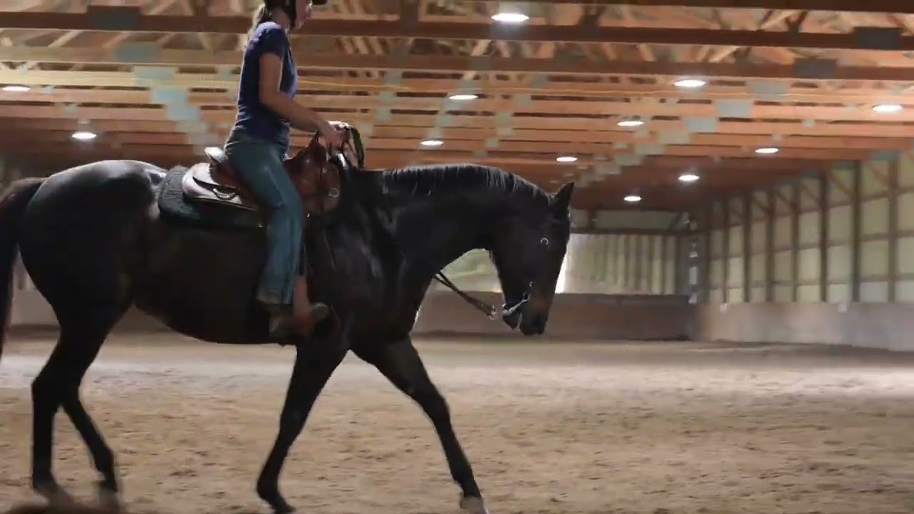 Derby western