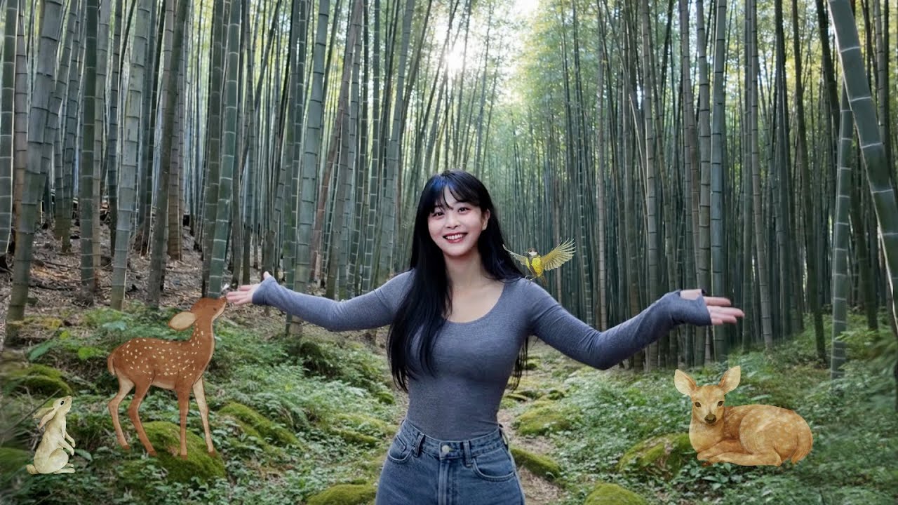 Ahopsan Forest : Nine Valleys Mountain ASMR