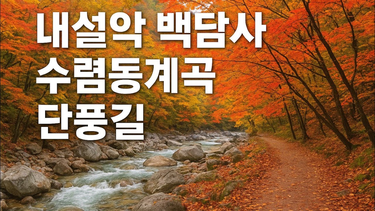 내설악 백담사 수렴동계곡 단풍길 ~