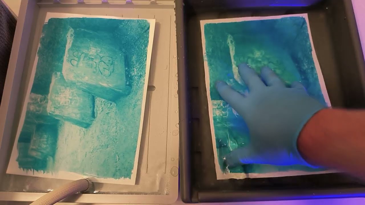 Bullied but Beautiful: Finding Healing Creating Cyanotype Artwork