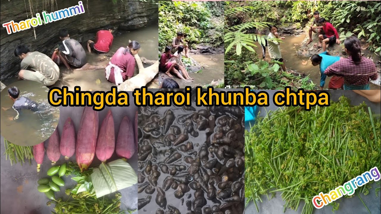 Chingda Tharoi Khunba Chatpa || Changrang + Lafuthro Heklakpa || Echinau Mymga || @ranjita_N21