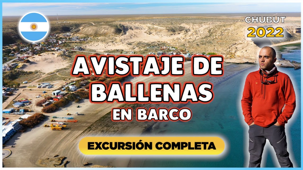 Viajé a PUERTO MADRYN para hacer el AVISTAJE de BALLENAS en BARCO y te cuento todos los SECRETOS