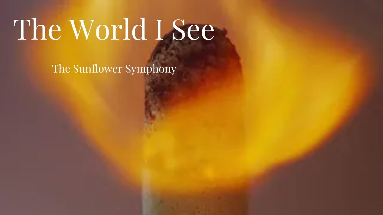 The World I See