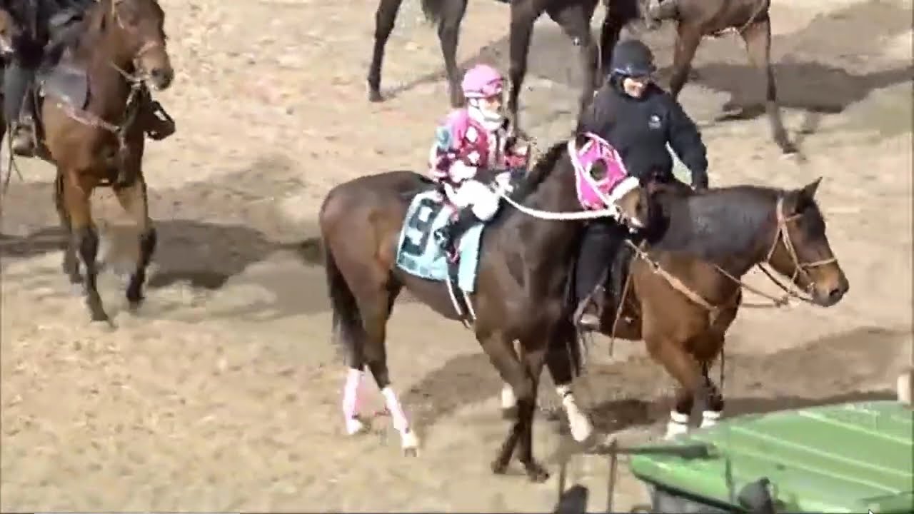 R5 TURFWAY PARK USA  06 FEB 2026