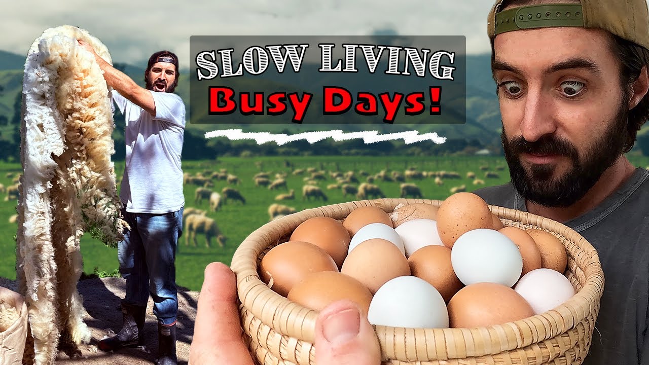 Life on Our 2-Acre Homestead 🌿 | DIY Projects, Garden Upgrades & Kitchen Remodel Progress