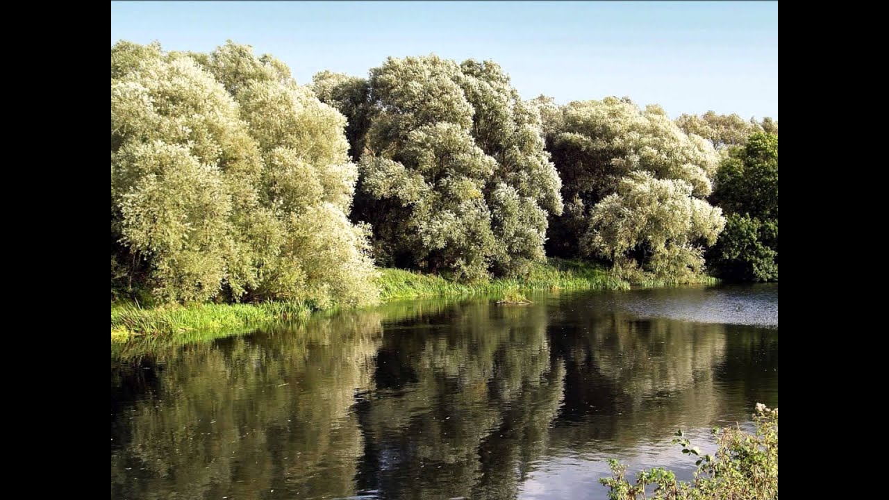 When The River Runs Dry - Chris Norman