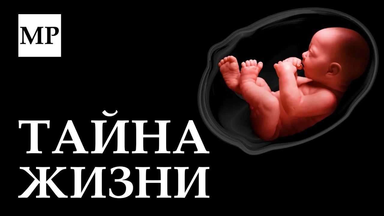 Как жизнь нарушает законы физики?