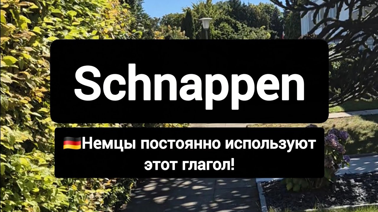 ❗Популярный немецкий разговорный глагол schnappen #немецкий 
