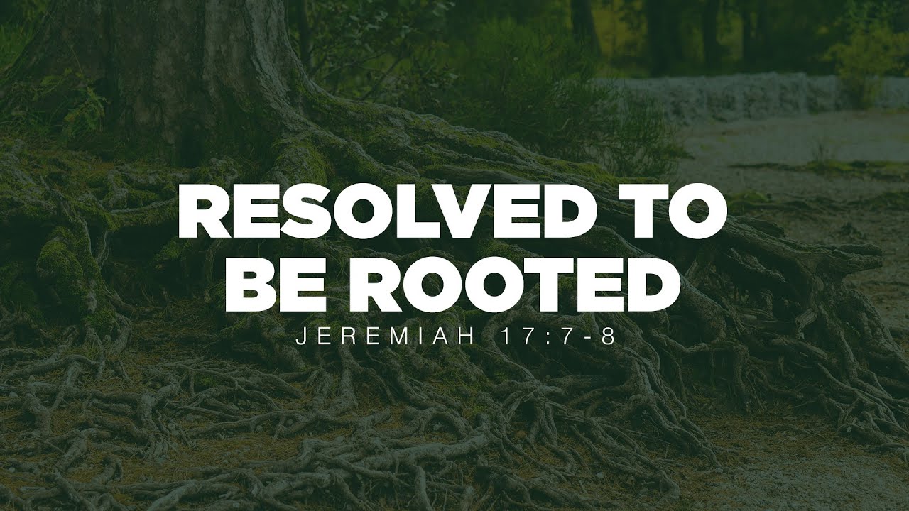 Resolve to Be Rooted