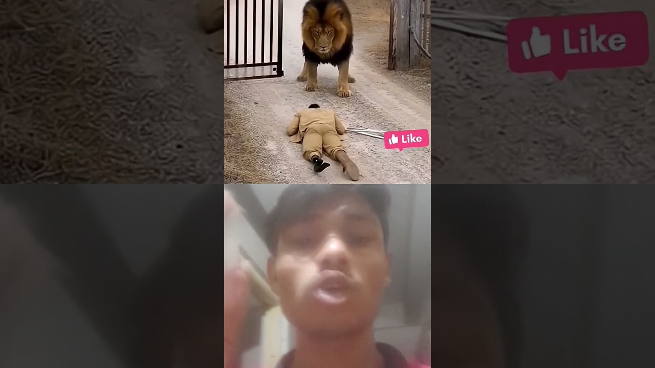 मैं मुसलमान हूँ अल्हम्दुलिल्लाह 🕋 |&hearts;️🥺🕺 #motivation​ #shorts​ #trending​