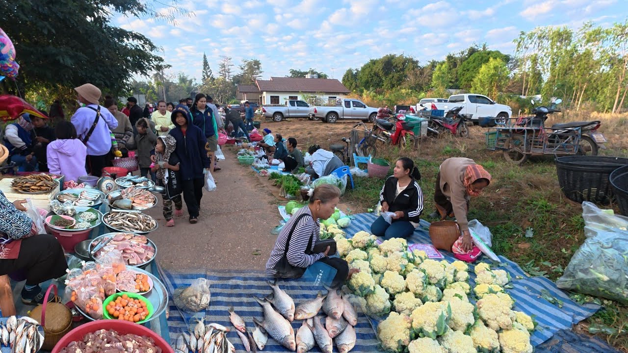 สุดยอด‼️ ตลาดเช้าบ้านนาเจริญ อาหารอีสานตามฤดูกาล อำเภอเขมราฐ อุบลราชธานี