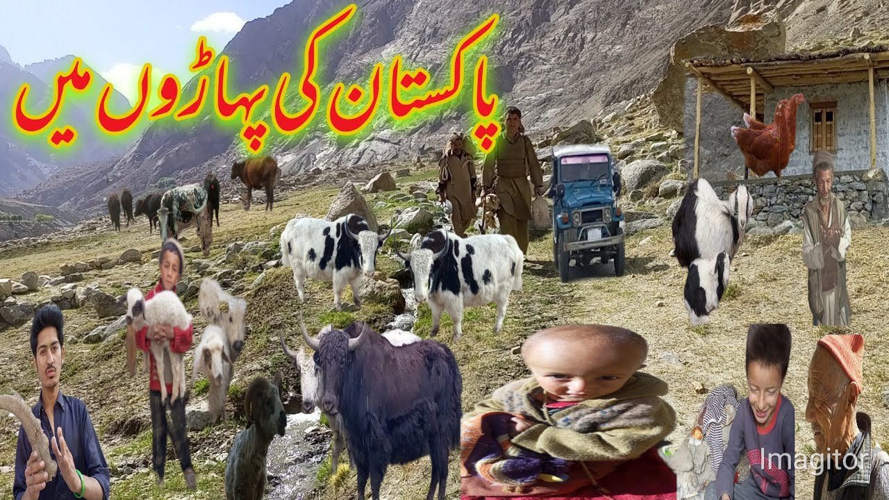 Pakistan  Mountain Village Life || Hard Working Of Mountain People||Baltistan Mountain Vlogs|