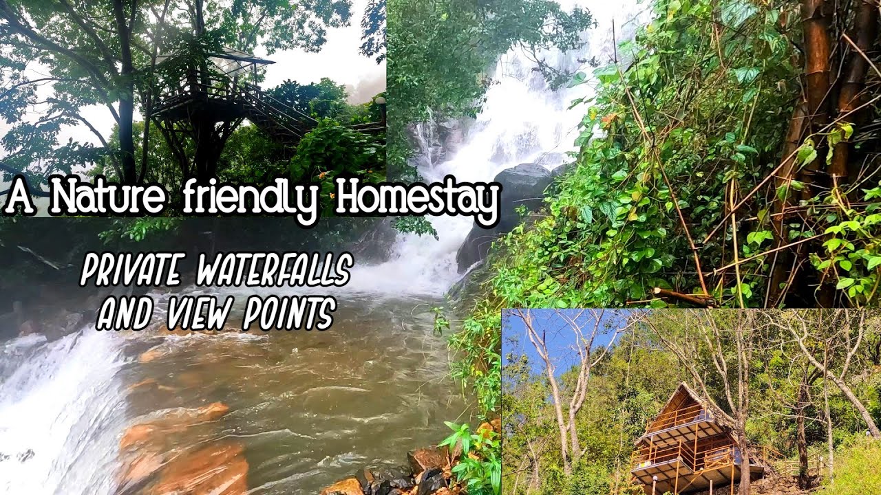 A Nature friendly Homestay with Private waterfalls | Best Homestay | Best resorts in Idukki