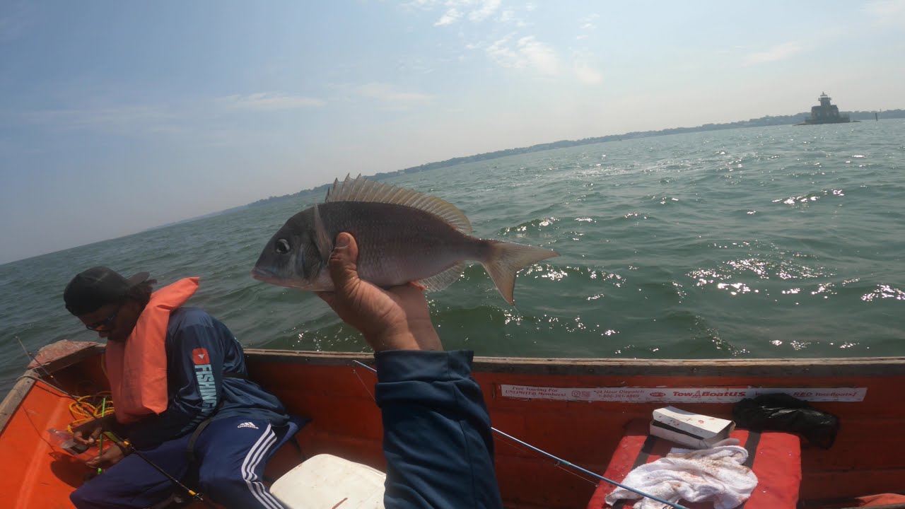 NYC-Skiff rental fishing for porgies and everything else 7/26/2025