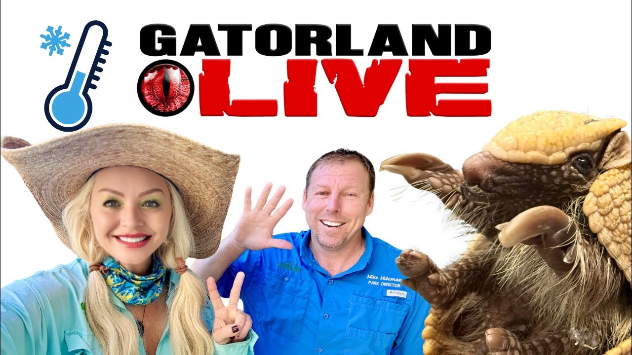 Cold Florida Weather & Suprise Animals!