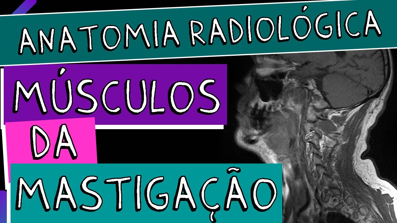 Músculos da Mastigação na Ressonância Magnética