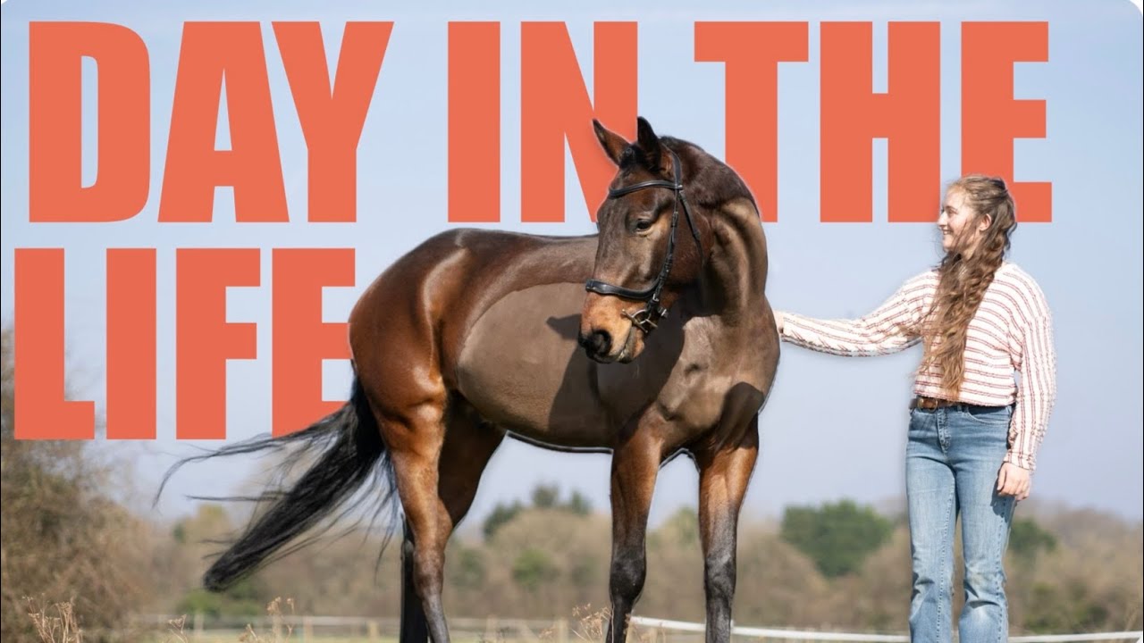 4.5 HORSES! - A Day in My Life