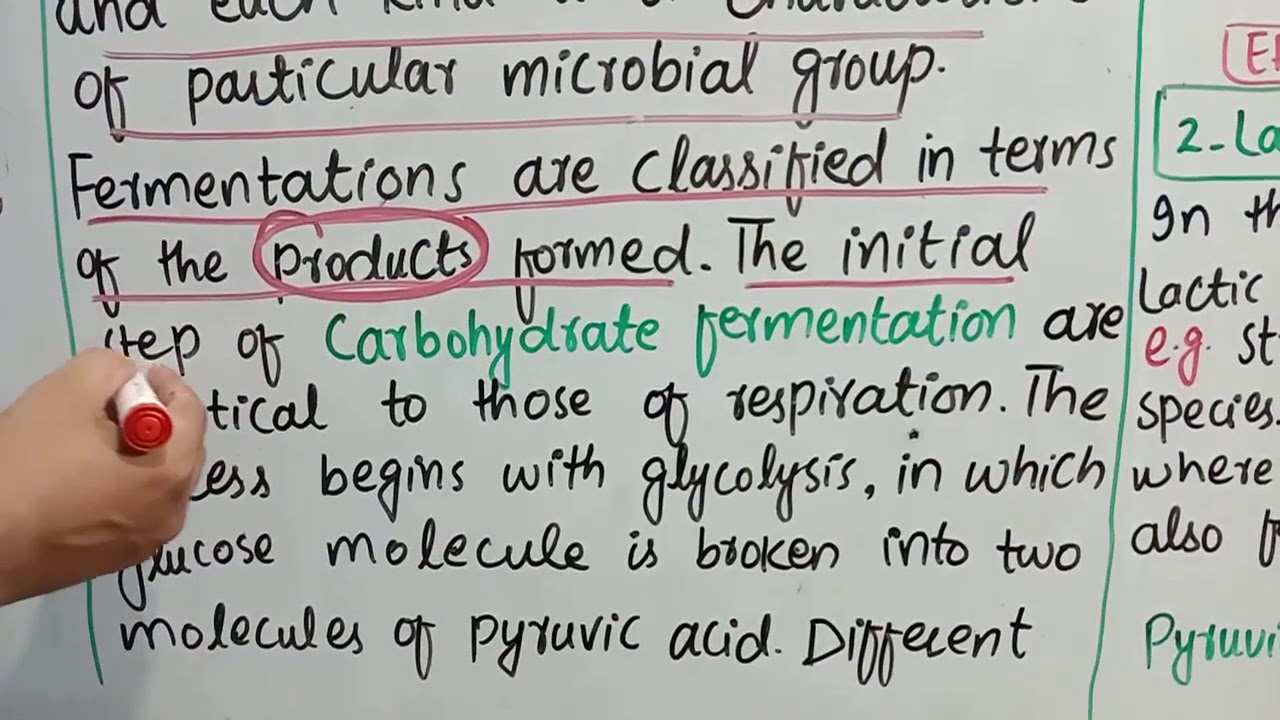 10TH BIOLOGY,CH#17(BIOTECHNOLOGY)LEC#3,FERMENTATION(ALCOHOLIC AND LACTIC ACID)