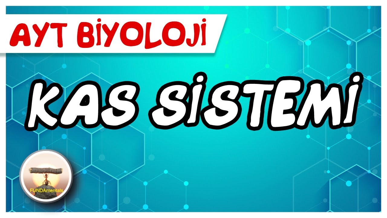 AYT Biyoloji | Kas Sistemi #sayfa56