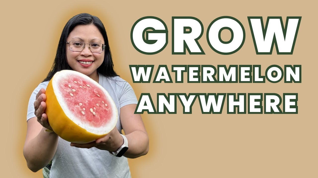 How to Grow Watermelon in a Small Space | 10 Tips for Big Harvests in Tiny Gardens