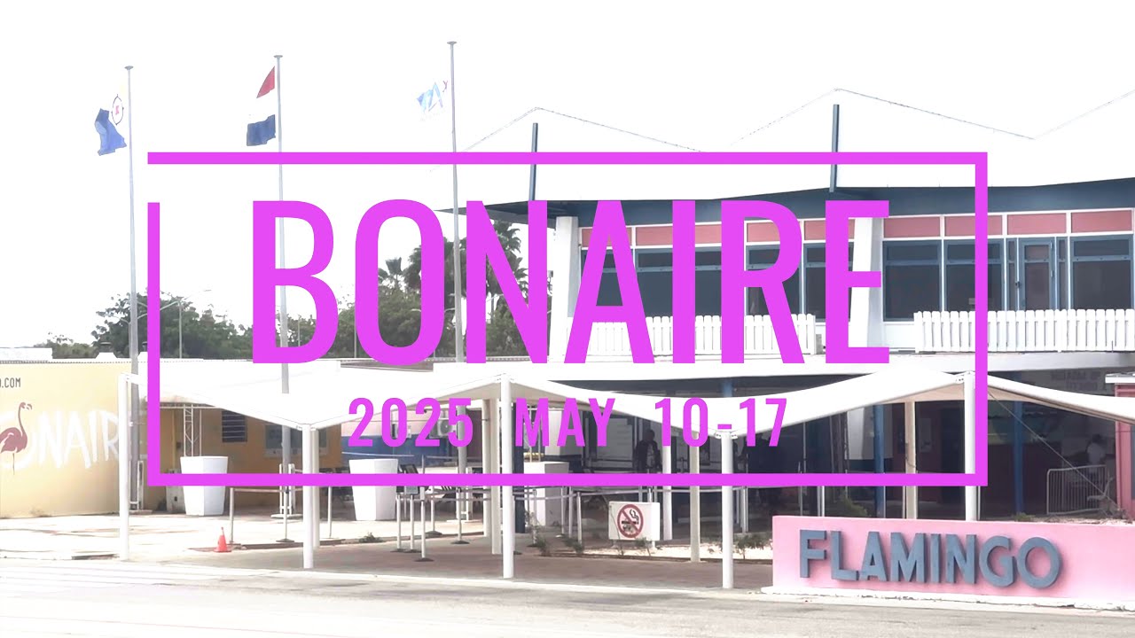 Scuba Diving in Bonaire 2025