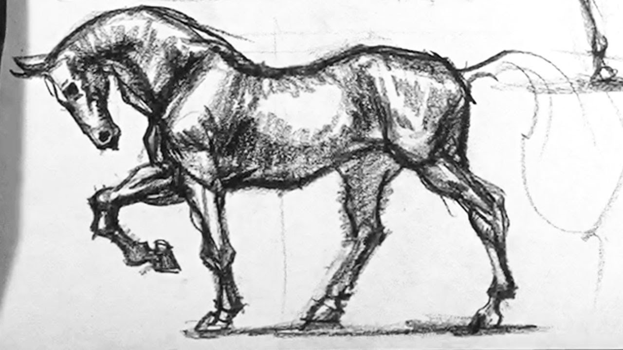 Horse Master Studies from Hultgren