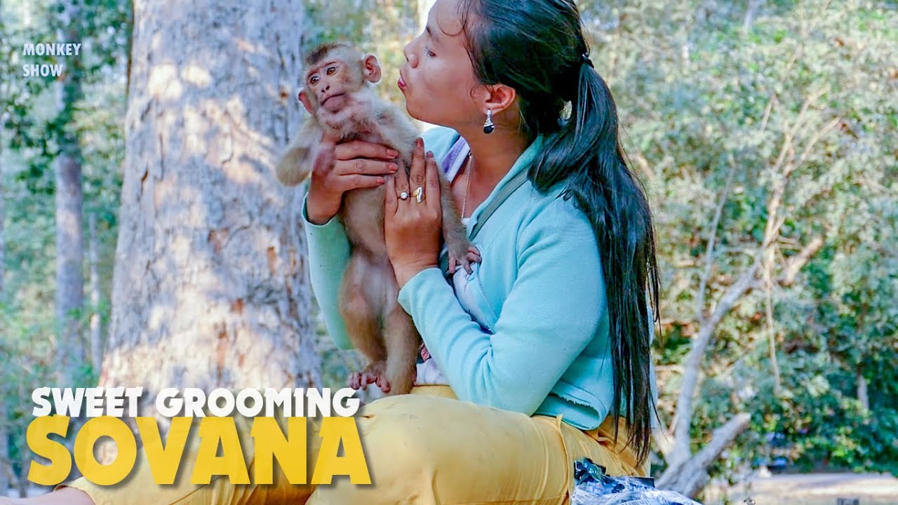 So Sweet Aunty Kunthea Kiss And Comfort Grooming Chubby Monkey Sovanna