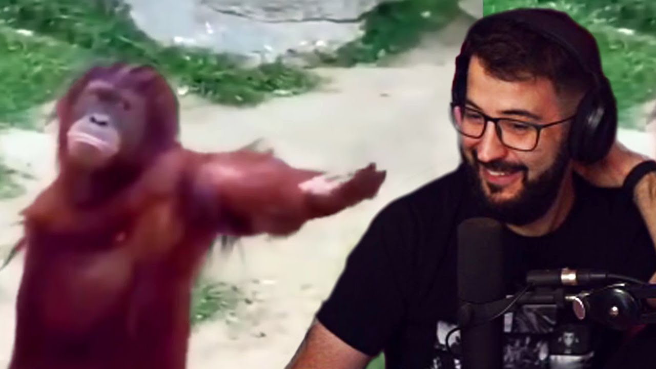 Alexelcapo Reacciona a UNUSUAL MEMES