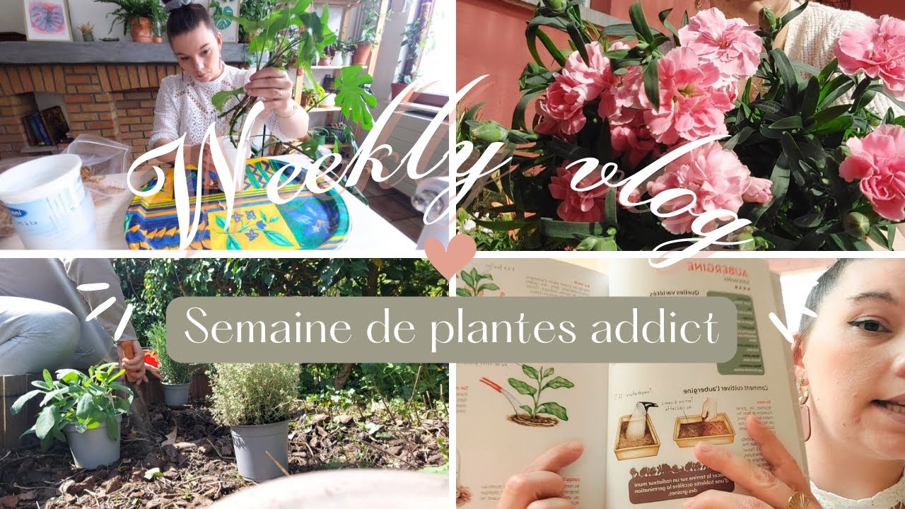 HAUL plantes extérieur ~ JARDINAGE ~ LIVRES potager | WEEKLY VLOG