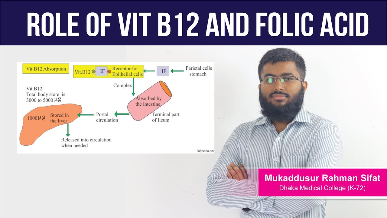 Role of vit B12 & Folic Acid