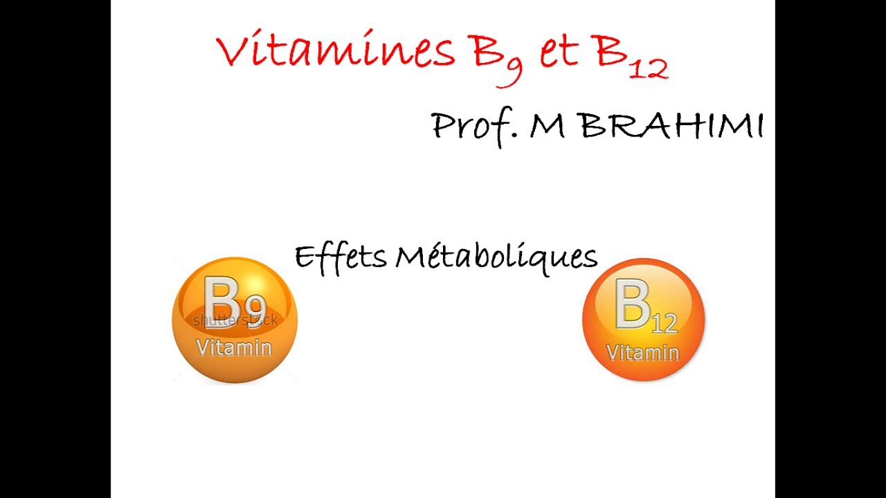 FOLATES ET VITAMINE B12 [PARTIE-3]
