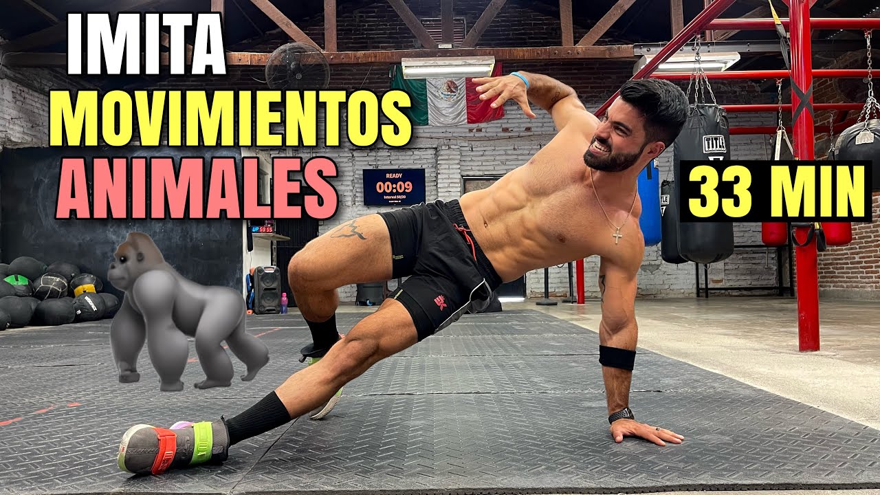 Cardio Hiit Fuerza Animal (33 MINUTOS) Ejercicio Basado En Movimientos De Animales