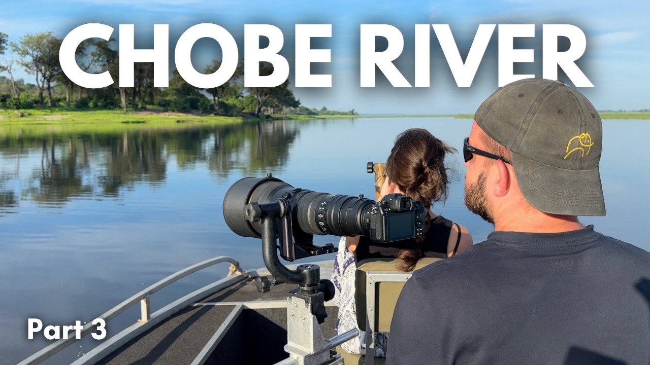 We go on a photographic boat cruise on Botswana's Chobe River!