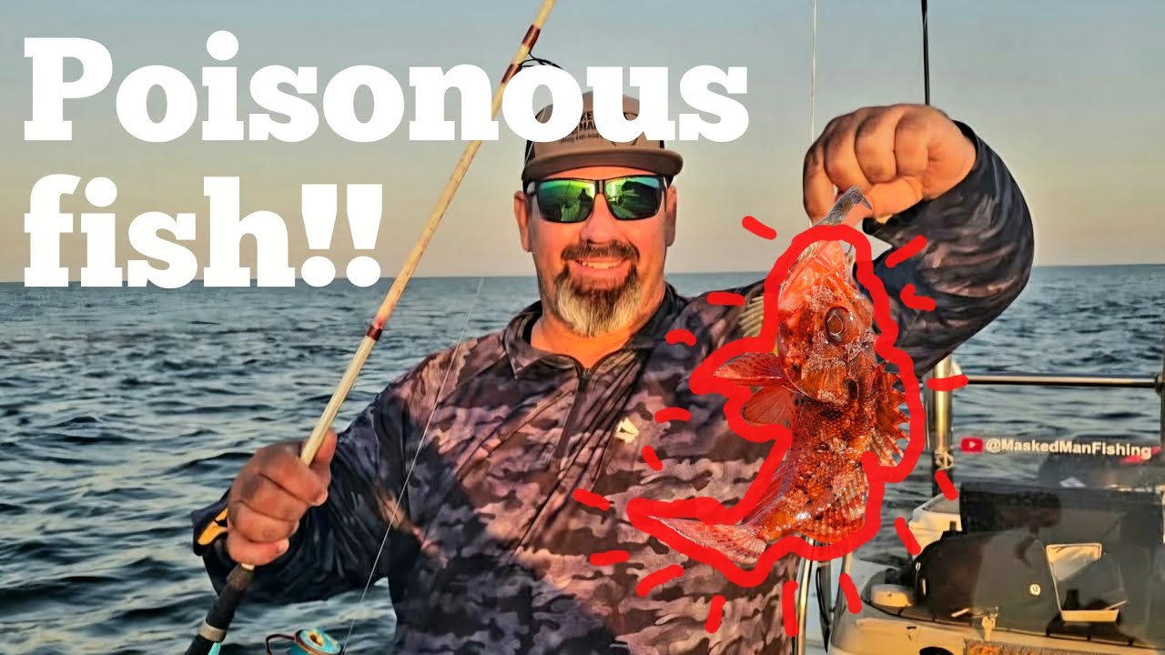 Poisonous fish!?