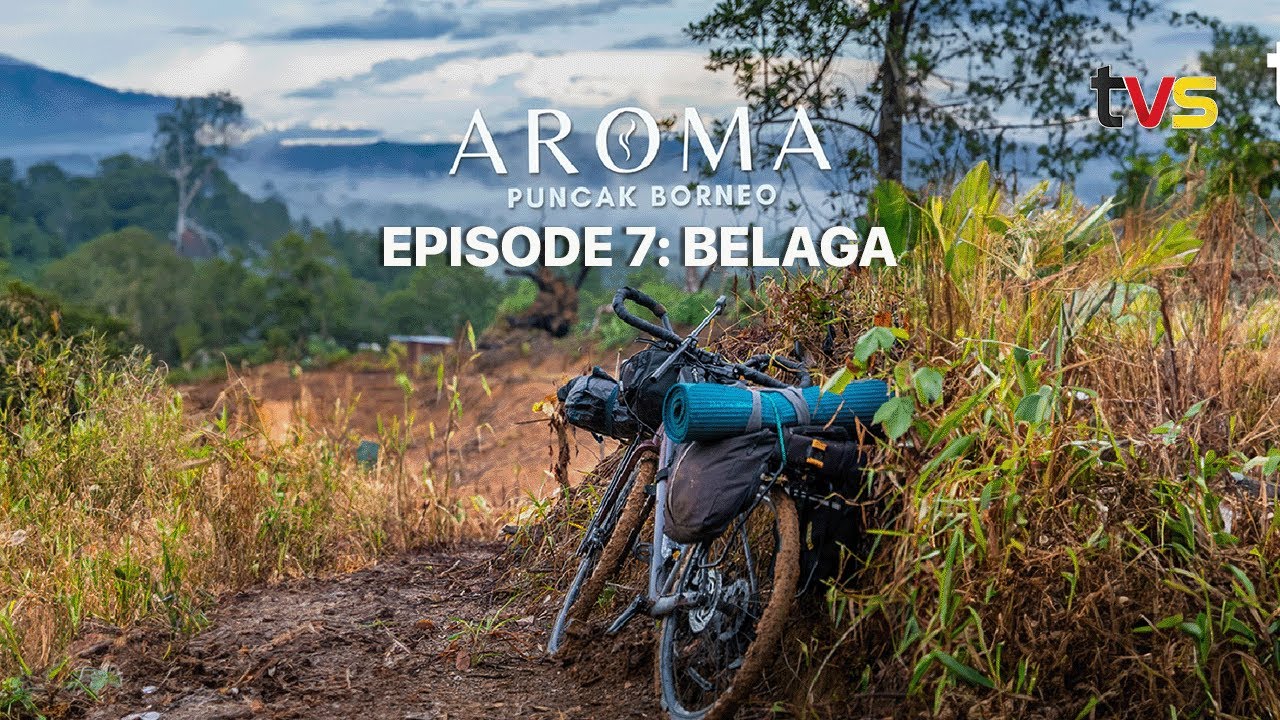 Aroma Puncak Borneo | Ep 7 | TVS Entertainment