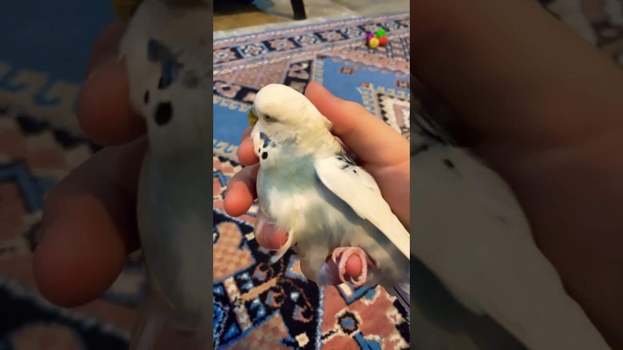 EROS UNUTMADIK