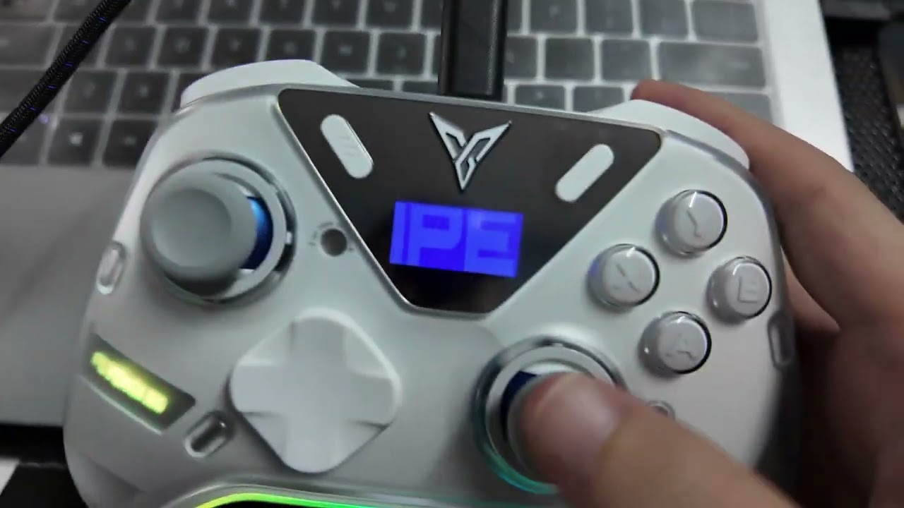 Flydigi APEX 5 software change language