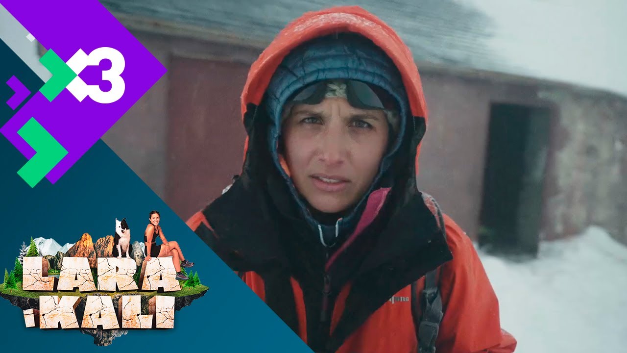 T1xC9 Els llums de Nadal - Lara i Kali