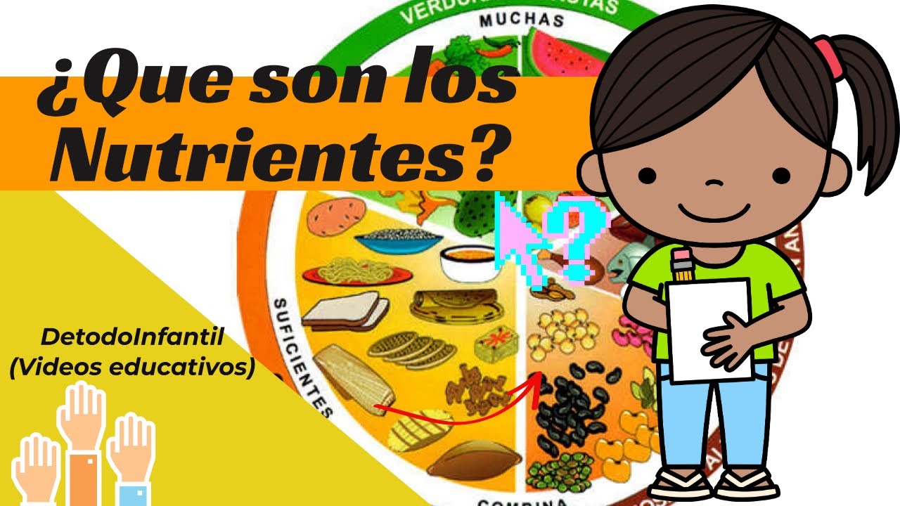Que son los nutrientes?? ( para niños)  video educativo