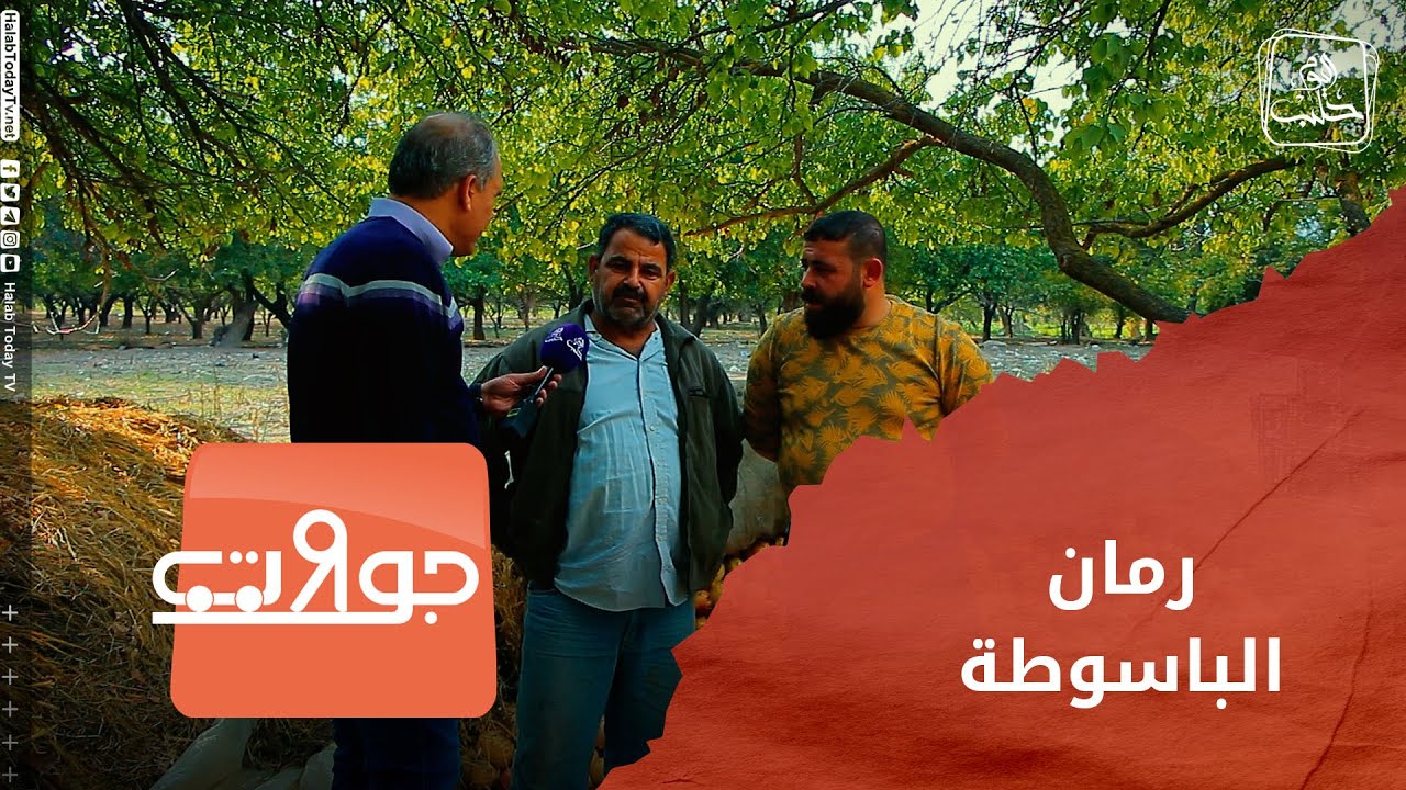 جولات _ موسم الرمان في الباسوطة
