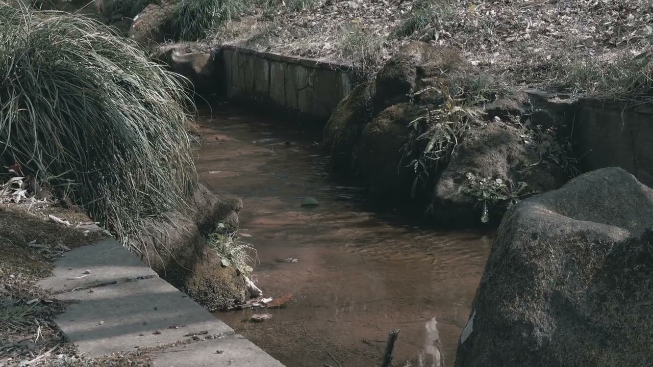 ♪EQyakko~ 石と川と木と花と音 ~