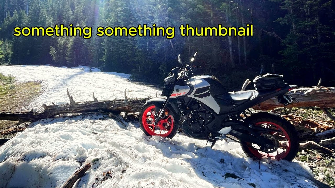 a motovlog (Yamaha MT-03 w/ shinko 80/20 tires)